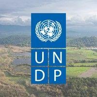 undp türkiye logo image