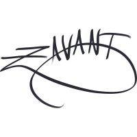 zavant enterprises logo image