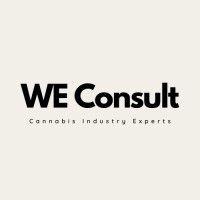 we consult, llc logo image