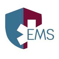 emsaegis, llc logo image