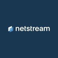 netstream ag logo image