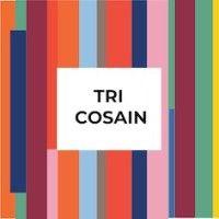 tri cosain: weaving inspiration, learning and career