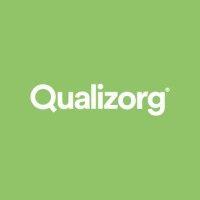 qualizorg logo image