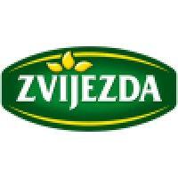 zvijezda logo image