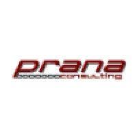 prana consulting, inc. logo image