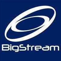 bigstream technology services logo image