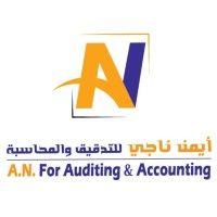 a.n. for auditing & accounting