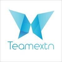 teamextn logo image