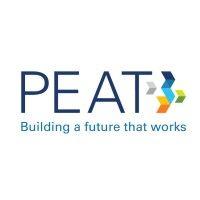 partnership on employment & accessible technology (peat) logo image