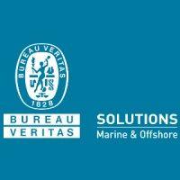 bv solutions m&o