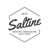 saltine communications logo image