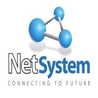 netsystem s.a. logo image