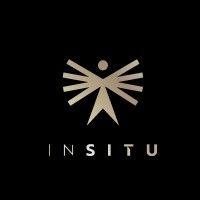 insitu groupe logo image