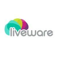 liveware, tecnologia a servico ltda