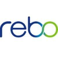 rebo lighting & electronics, llc logo image