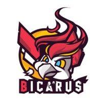 bicarus blockchain labs logo image