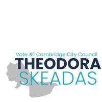 committee to elect theodora skeadas logo image