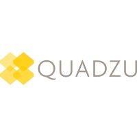 quadzu ltd logo image