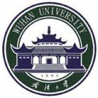 wuhan university logo image