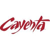 cayenta logo image