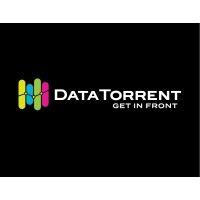 datatorrent logo image