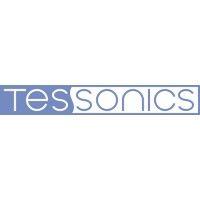 tessonics inc. logo image