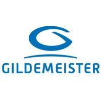 gildemeister chile logo image