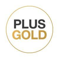 plus gold logo image