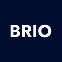 brio logo image