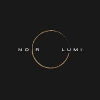 noir lumi logo image