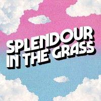 splendour in the grass