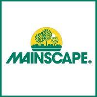 mainscape logo image