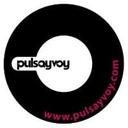 logo of Pulsayvoy S L