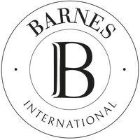 barnes spain logo image