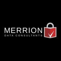 merrion data consultants ltd logo image