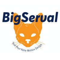 bigserval logo image