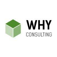 why consulting logo image