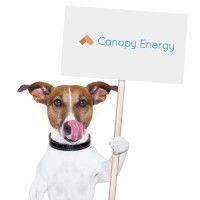 canopy energy logo image