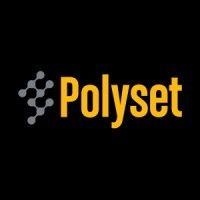 polyset company logo image