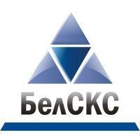 belsks group of companies logo image