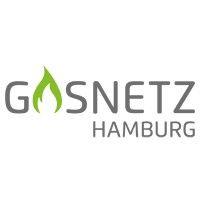 gasnetz hamburg gmbh logo image