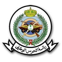 u.s. army office of the program manager - saudi arabian national guard