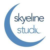 skyeline studio logo image