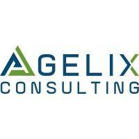 agelix consulting llc logo image