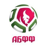 belarus football federation logo image