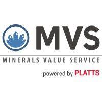 minerals value service gmbh logo image