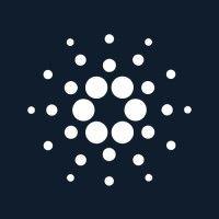 cardano currency logo image