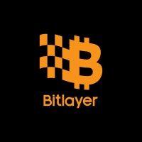 bitlayer logo image