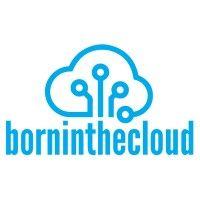 born in the cloud (follow open systems) logo image