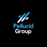 pellucid group logo image